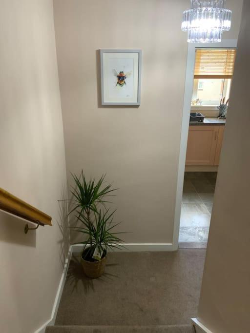 Home From Home, 3 Bedroom House In Hawick Buitenkant foto